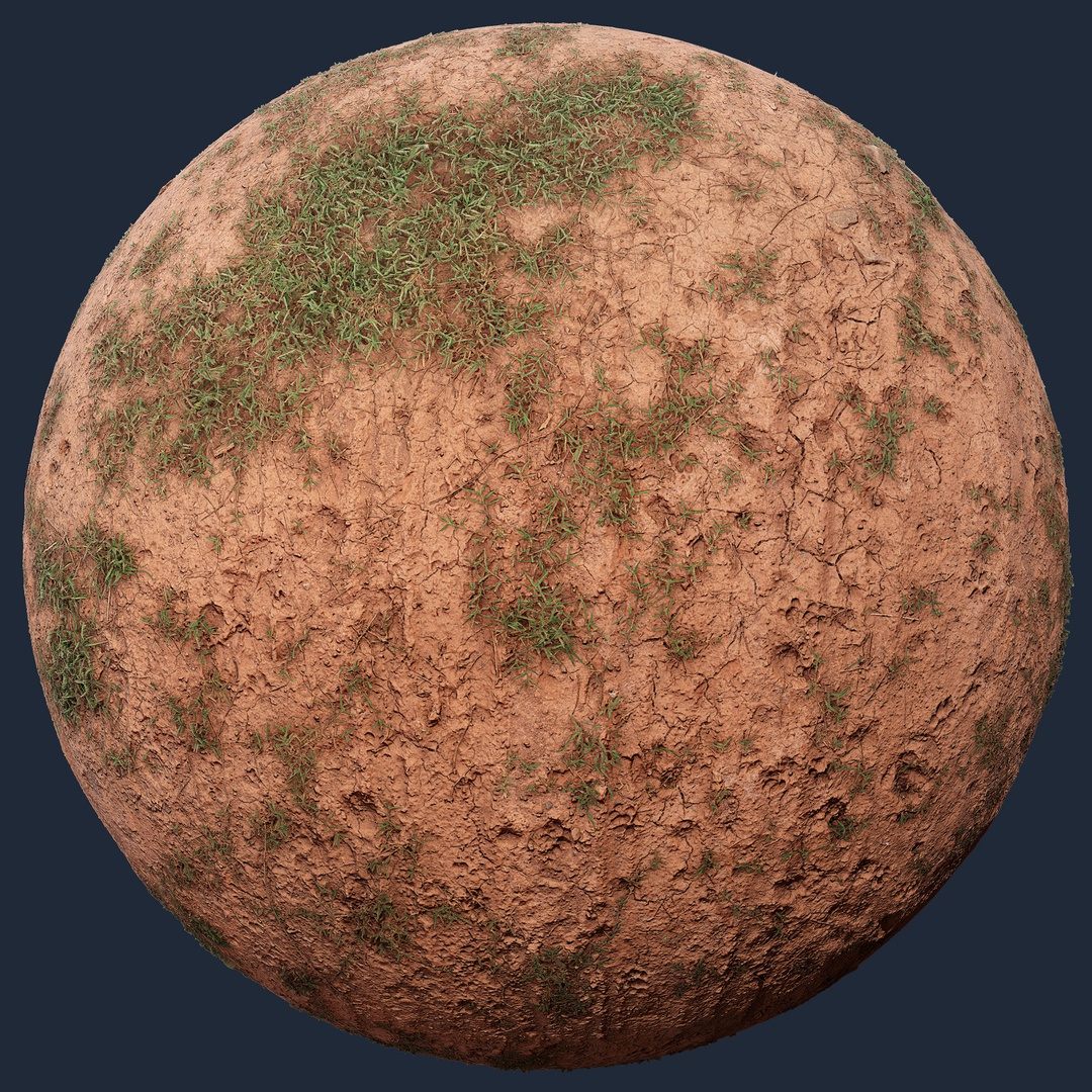 Forest Ground with Grass – forest ground with grass, forest texture preview