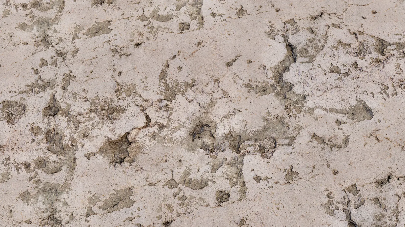 Damaged White Concrete Plaster Texture PBR texture screenshot 1