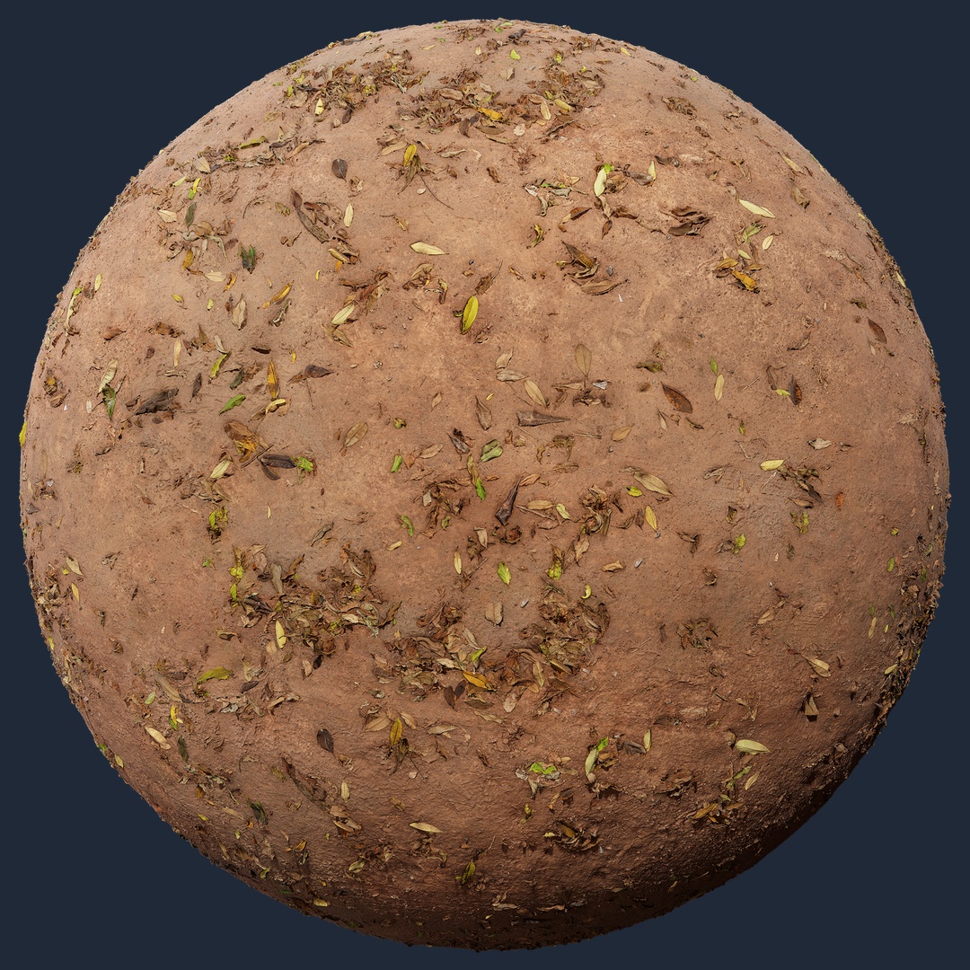 Leaves Forest Ground – leaves forest ground, leaves texture preview