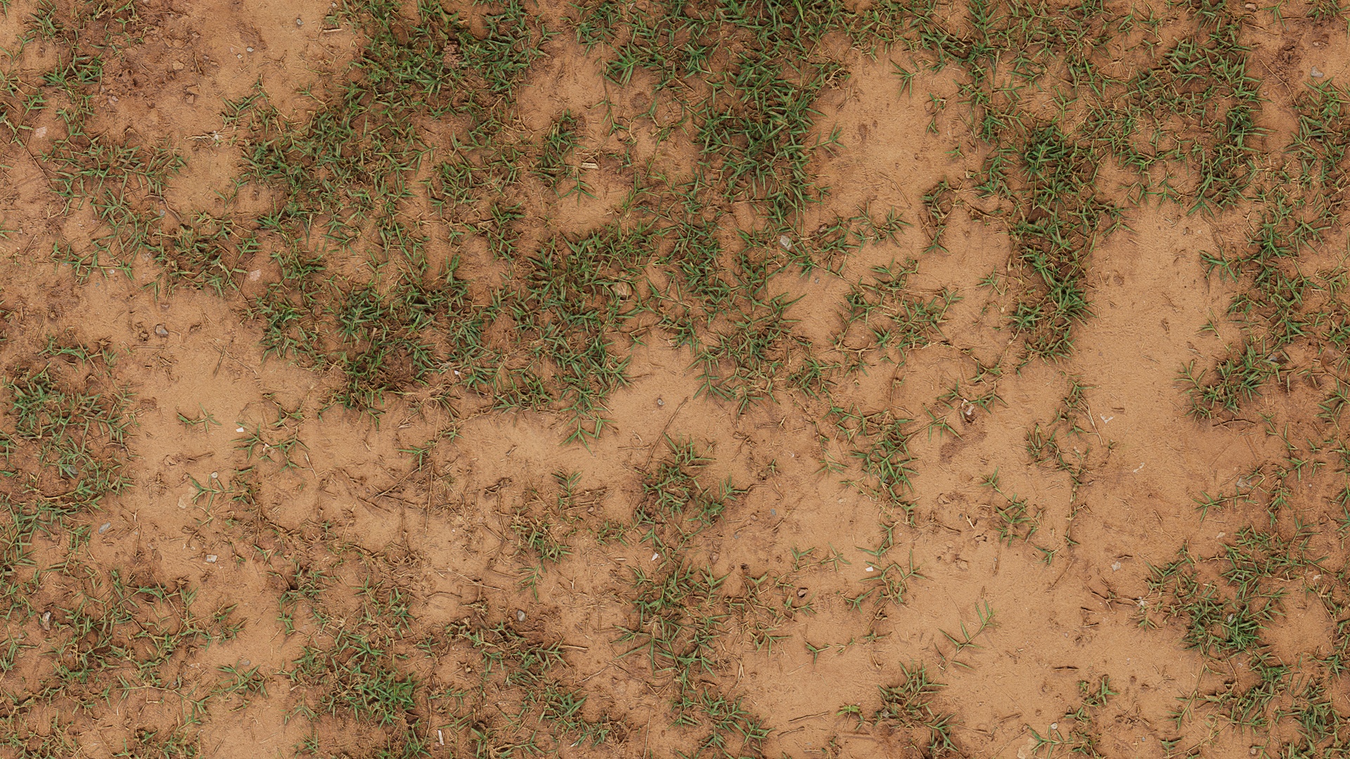 Herbe clairsemée sur sol sec PBR texture screenshot 1