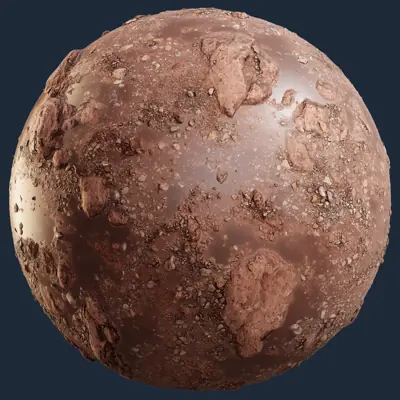 Wet Rocky Mud Terrain