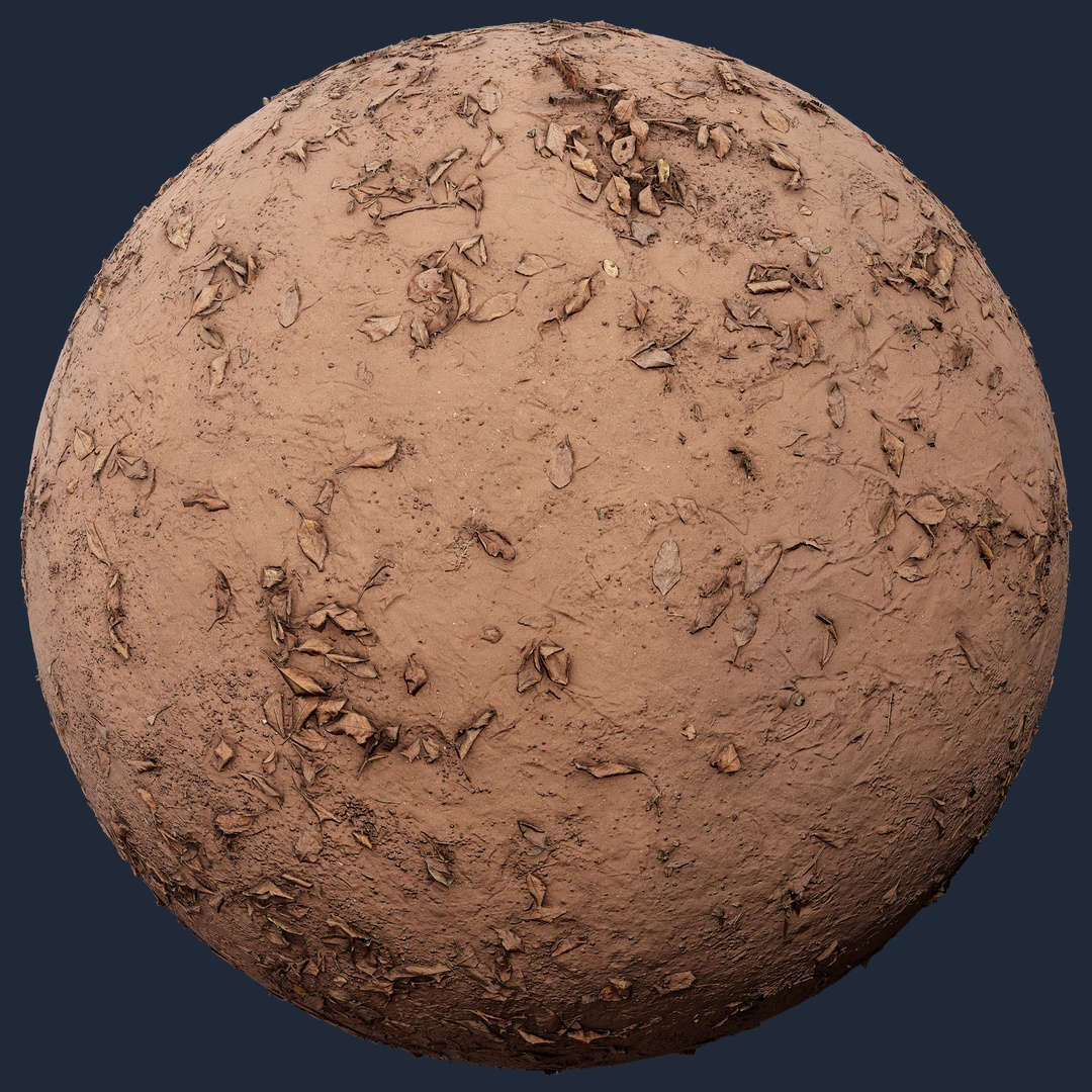 Scattered Dead Leaves Ground – scattered dead leaves ground, scattered texture preview