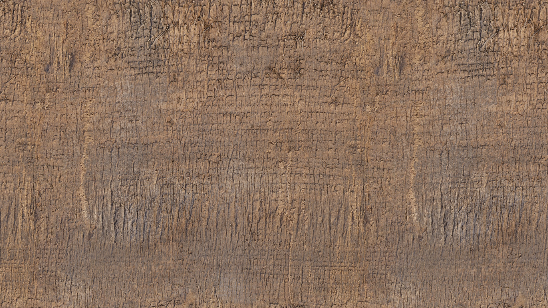 Weathered Palm Tree Bark – weathered palm tree bark, weathered texture preview