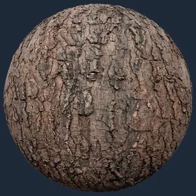 Natural  Tree Bark – natural  tree bark, natural texture preview